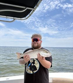 Redfish caught while fishing in FL