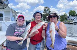 3 redfish caught in Niceville