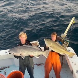 Two gag grouper caught while fishing in Florida