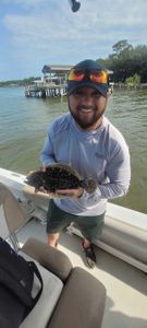 A summer flounder fish caught near Niceville