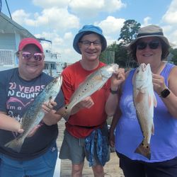 Redfish caught in Niceville by fisherman