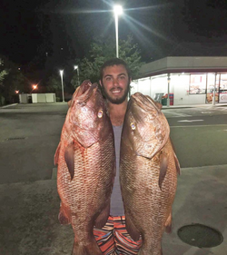 2 grey snapper fish caught while fishing in Key Largo