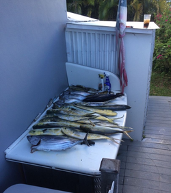 Scenic view of fishing in FL