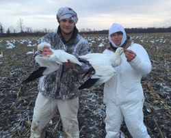 A stunning hunting scene in North Rose