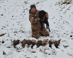 Lone hunter in North Rose