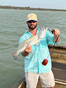 Image of a 19-inch Atlantic Cod caught while fishing in Port Mansfield