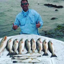 11 European seabass caught in Port Mansfield