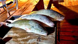 Two fishermen in Port Mansfield enjoying a great day of fishing and hunting.