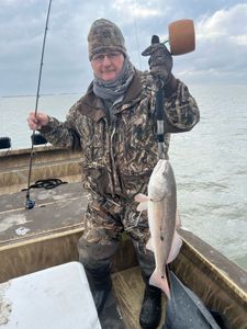 Redfish caught in TX