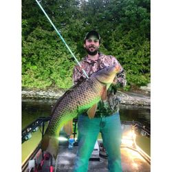 Bowfishing for Large Carp in Lake Champlain, VT