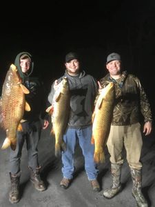 Action-packed Bowfishing in Vermont