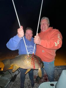 Common Carp caught while fishing in VT