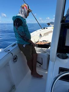 Scenic view of nature in VT