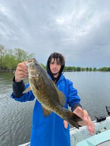 Fishing for a smallmouth bass in VT