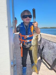 Angler with a big fish in Homosassa
