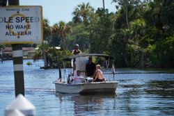 Four anglers fishing in Homosassa