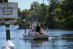 Boat Charters in  Crystal River