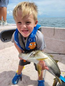 A person fishing in Homosassa