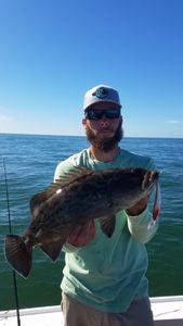 Gag Grouper fishing in FL