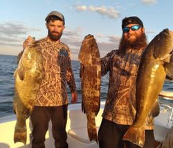 3 gag grouper fish caught while fishing in FL