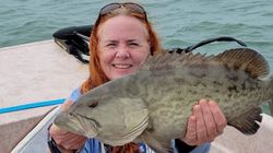 A fisherman with a gag grouper catch in FL