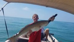 Redfish caught in Homosassa, Florida