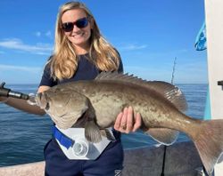 Gag grouper, a 28-inch fish caught while fishing in FL.