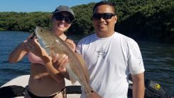 Redfish, 16-inch catch by two anglers in Homosassa