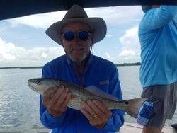 Redfish caught by angler in Florida
