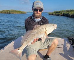 A single redfish caught in Homosassa, Florida by a fisherman