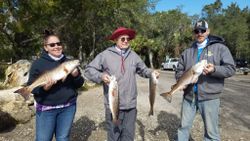 Redfish caught in Homosassa during fishing trip