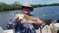 One Redfish caught while fishing in Homosassa
