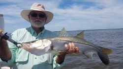 Snook, 25 inch fish caught while fishing in Homosassa