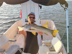 Snook fish caught fishing in FL