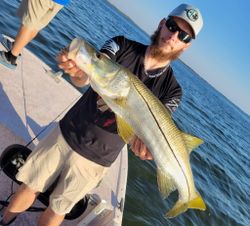 Snook fish caught fishing in FL