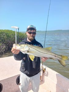 Snook fish caught while fishing in Homosassa