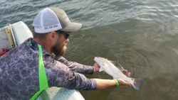 Angler fishing in FL