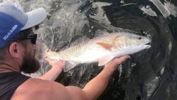 Solo angler caught a 17-inch fish in FL