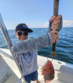 Guided Red Snapper Fishing 