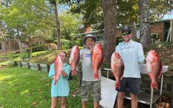 4 big fish caught while fishing in FL