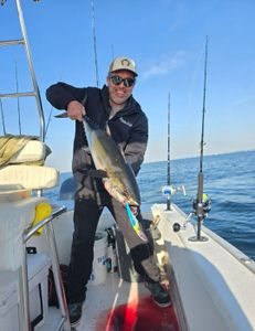 Tuna fish in Destin FL on Game Changer Charters 