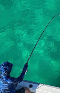 Great fishing adventure in FL