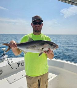 A Greater Amberjack fish caught while fishing in FL
