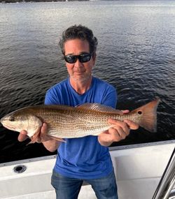 Redfish caught in FL, 24-inch catch
