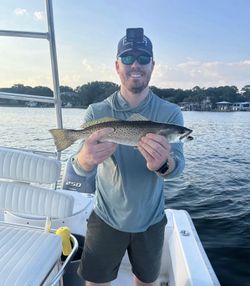 Spotted Weakfish caught fishing in FL