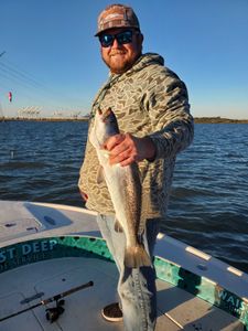 Spotted Weakfish, 19 inches, fishing in TX
