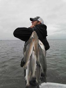 Two big fish caught while fishing in Galveston