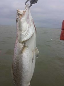 Fishing on the shore in Galveston
