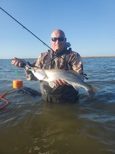 A person fishing in TX
