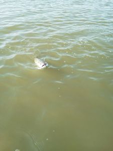 Fishing trip in TX